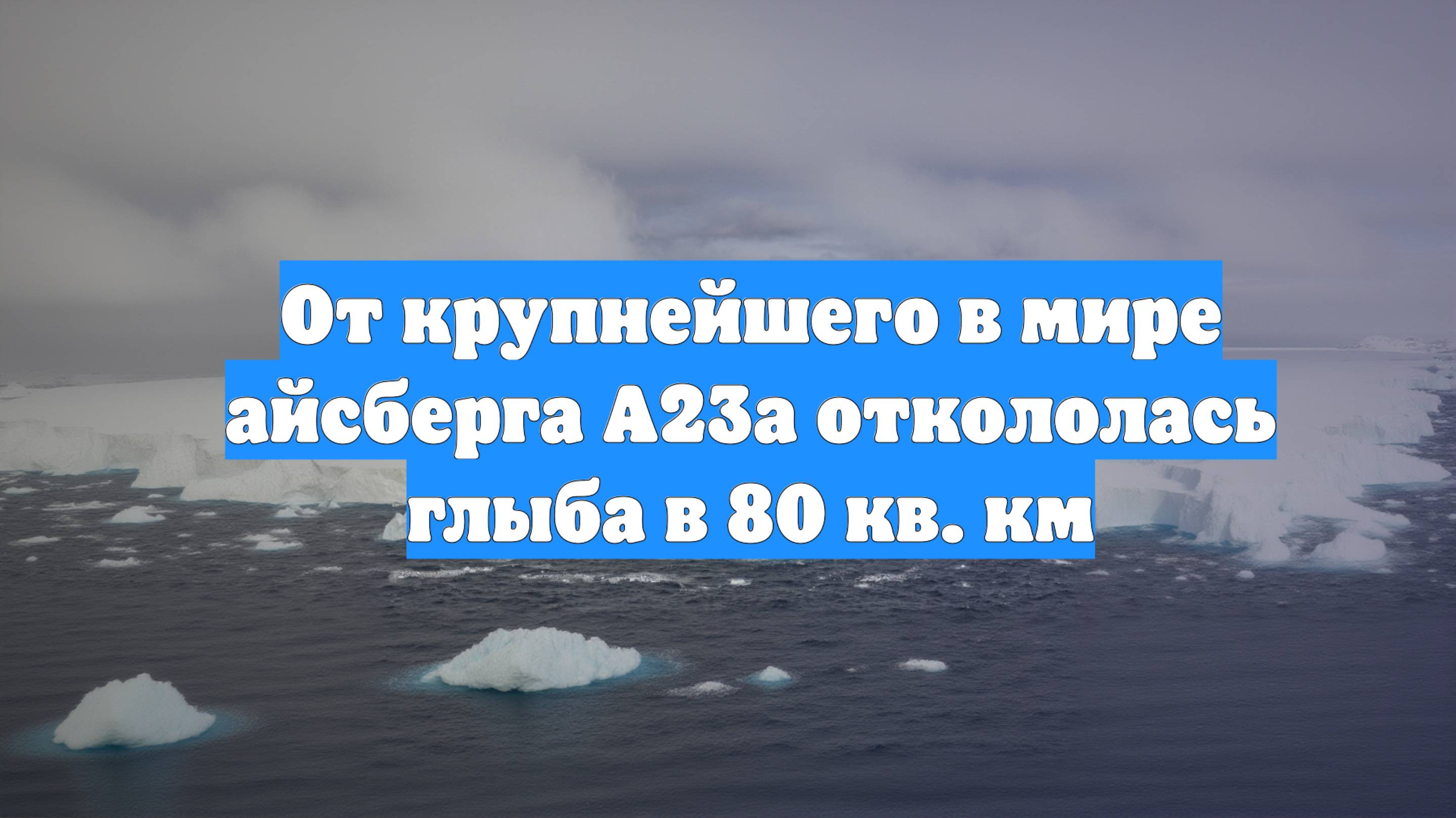 От крупнейшего в мире айсберга А23а откололась глыба в 80 кв. км