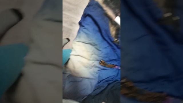 кусочек моей жизни