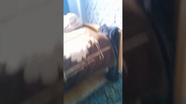 Вика блогер 2