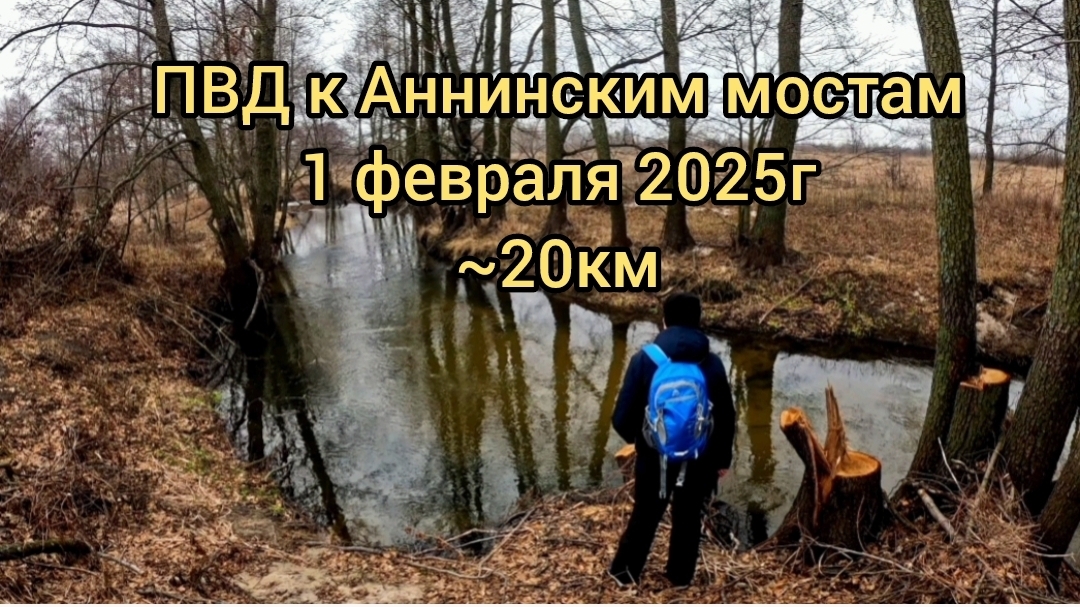 Пеший ПВД к Аннинским мостам. 01 февраля 2025 года.