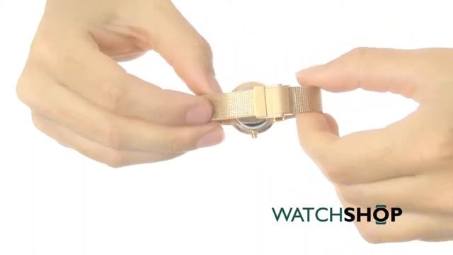 Skagen Ladies' Watch (SKW2197)