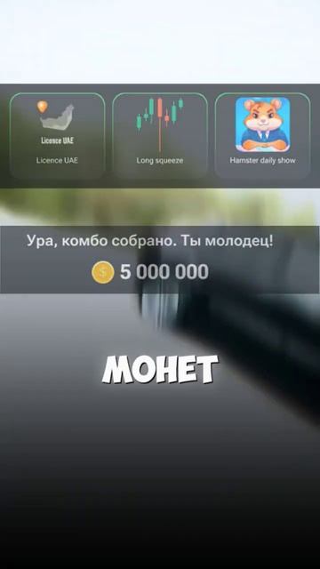 #карты #комбо #хомяк