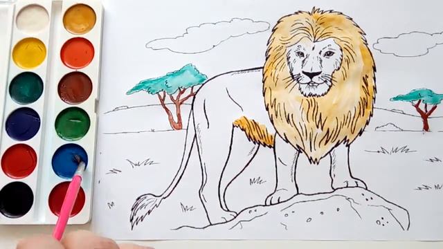 Раскраски для детей король Лев.Coloring pages for children. Draw A Lion.