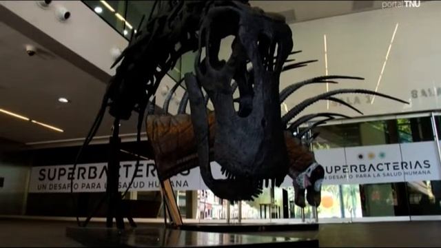 Descubren nueva especie de dinosaurio en la Patagonia argentina