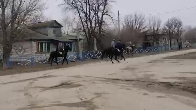 Казачьи обычаи живут и будут жить вечно в кондрашовское сельском поселении