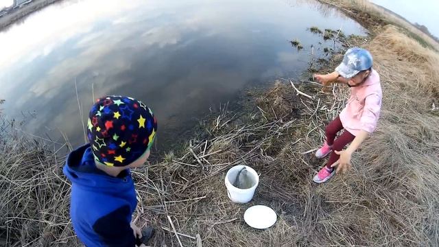 Зарыбление водоема