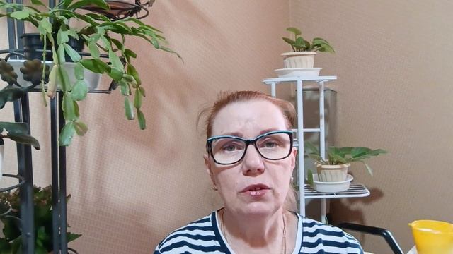 🦉Болталка.Планы на канал и вязание 🧶