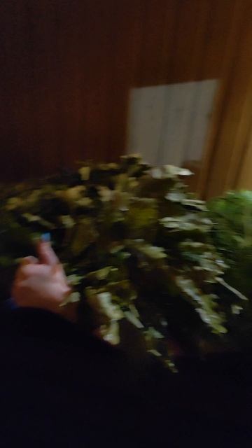 Вечернее парение🔥