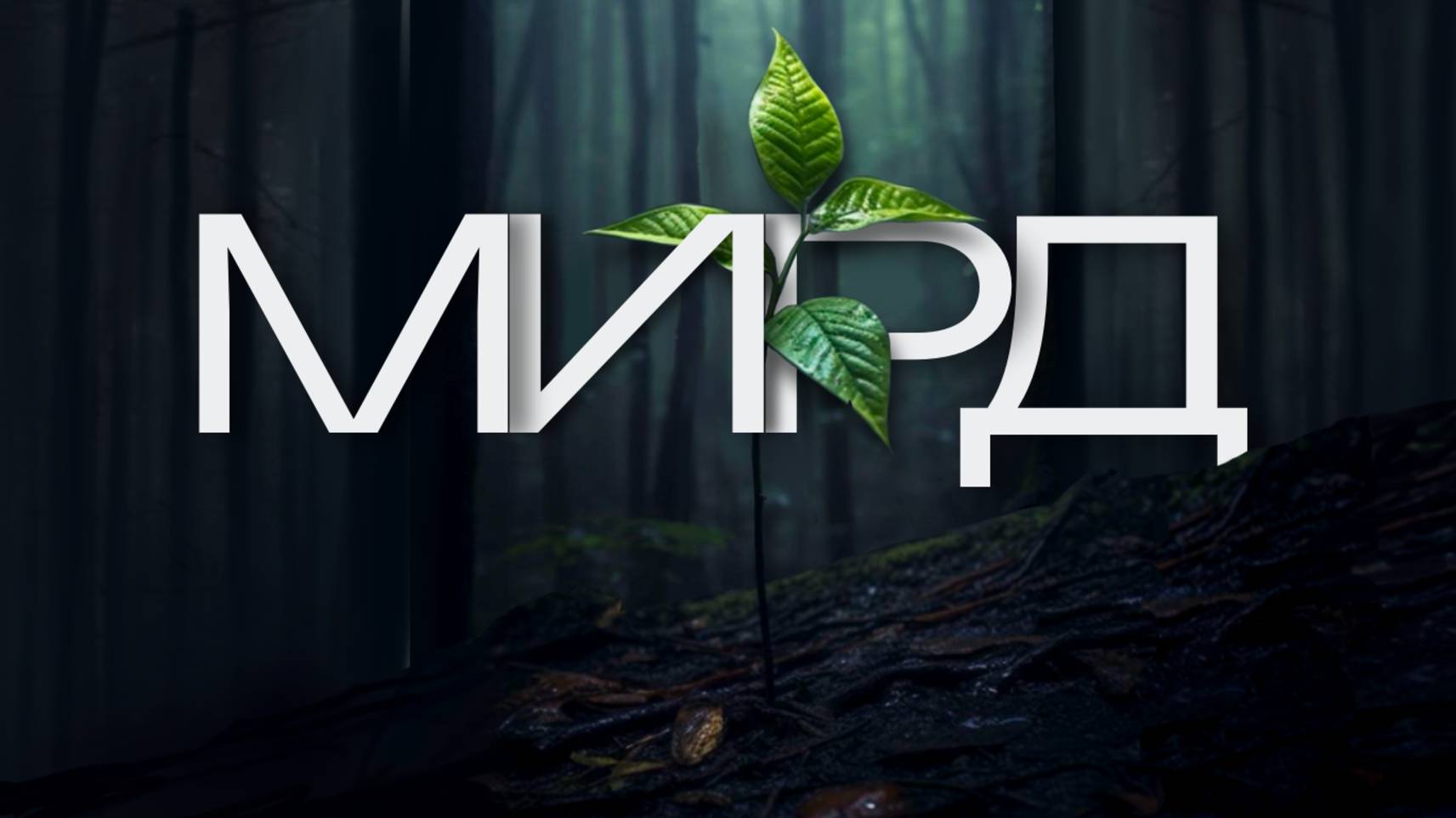 Презентация МИРД