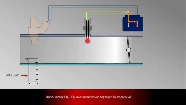 IAT Sensor