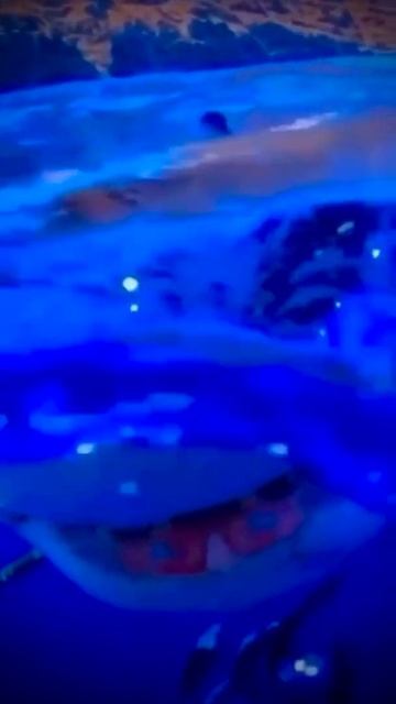 Акула 🦈 shark 🦈