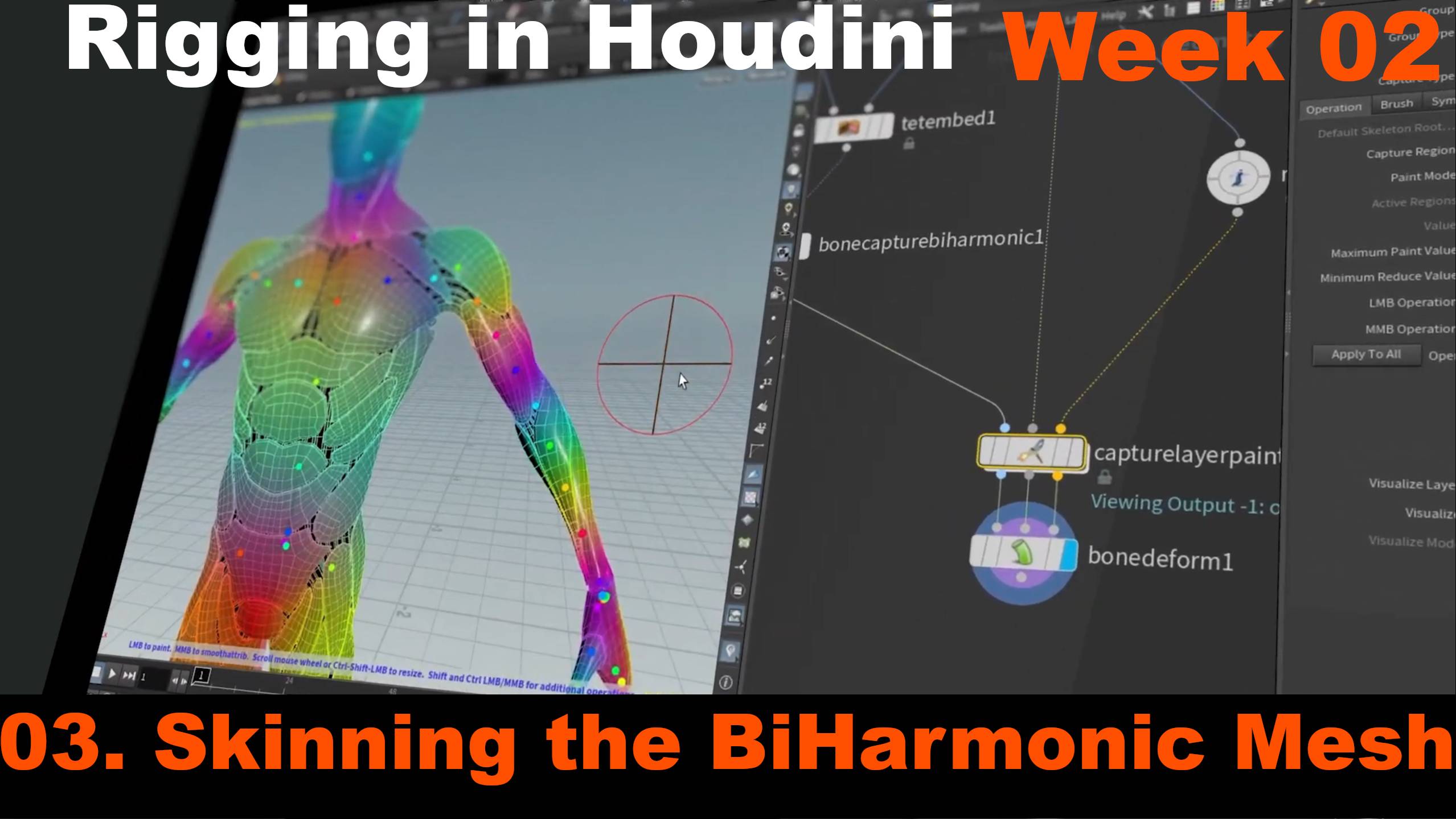 03. Skinning the BiHarmonic Mesh