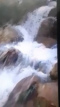 VID_20250202_133847.mp4