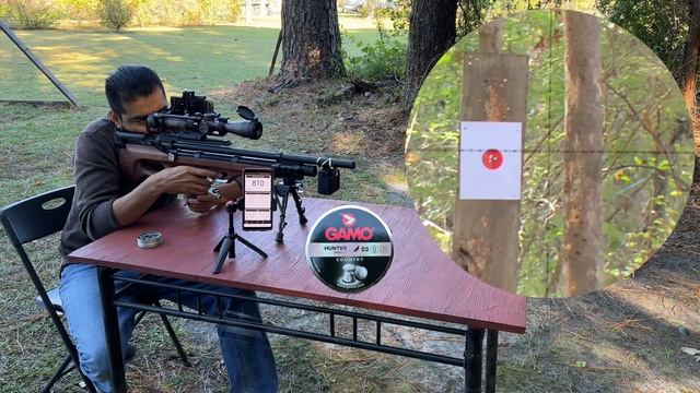 Benjamin Akela & Gamo Hunter Impact 15.42gr