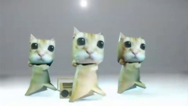 куми куми хаба хаба лака лака