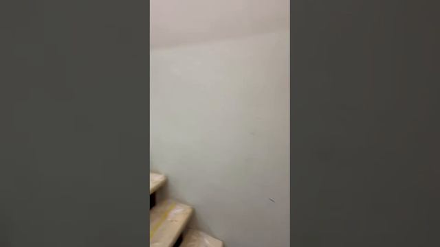 1000071620.mp4