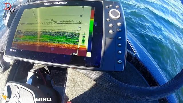 Tips 'N Tricks 229: Vertical Sonar Fishing with Humminbird HELIX