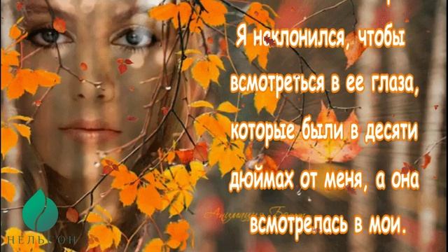 ГДЕ ЖЕ ТЫ БЫЛА ...