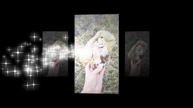 Мультяшные грибы. Мои клипы.