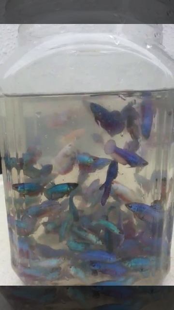 20140207 151557