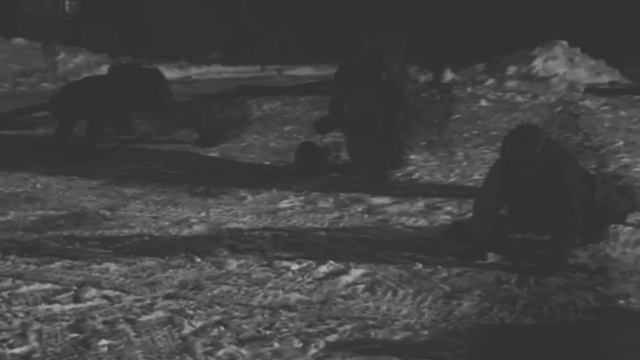 Пророчество Древних Волхвов...