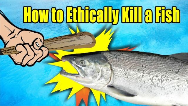 How to Fillet & Process Silver and Bighead Asian Carp – Fast & Easy!