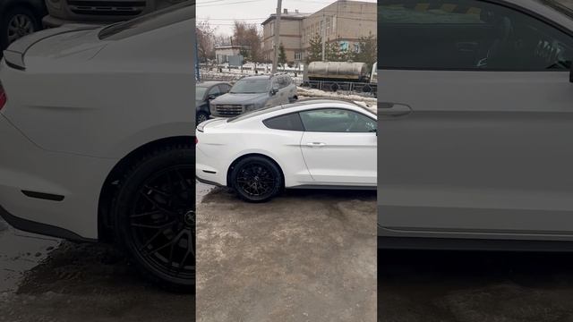 Ford Mustang High Performance Package 11.2020