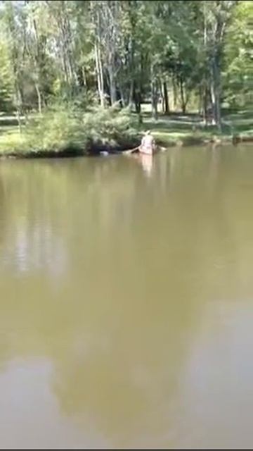 Remote control boat fishing