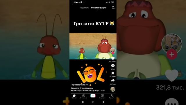 три кота