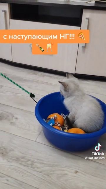 1000010386.mp4