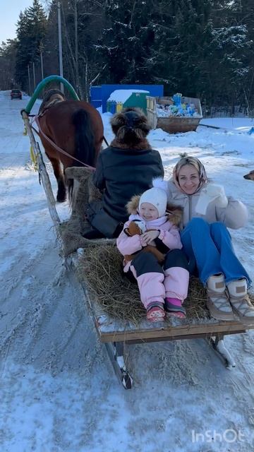 Встретили цыгана на лошади и поехали с ним