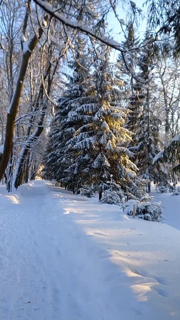 Если можешь