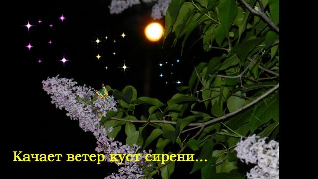 Качает ветер куст сирени... ДУША К ДУШЕ