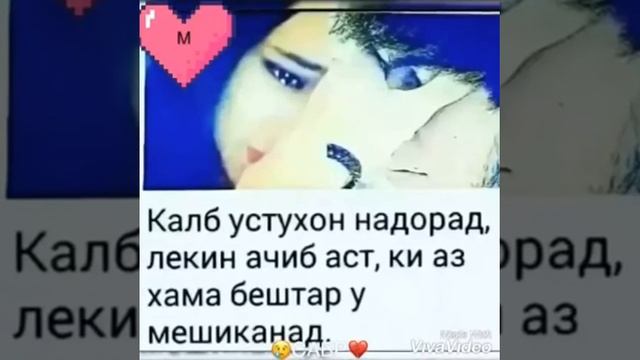 Подписаться ро фаромуш накунен