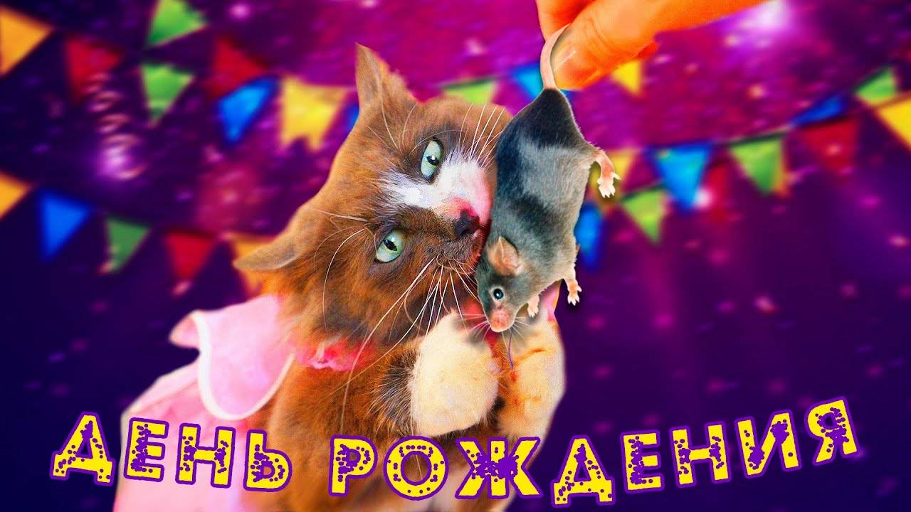 1000 МЫШЕЙ ДЛЯ КИСЫ АЛИСЫ! ТОРТ ИЗ КРЫС НА ДЕНЬ РОЖДЕНИЯ КОТОМОНСТРА! ПОДАРКИ ОТ ПИТОМЦЕВ НА ДР