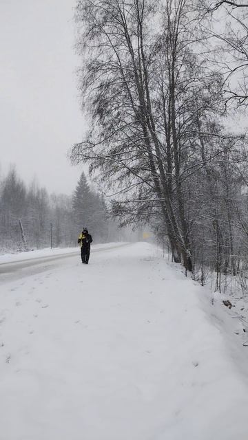 Полумарафон, более подробно в длином видео 02.02.25