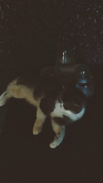 мой карась😎