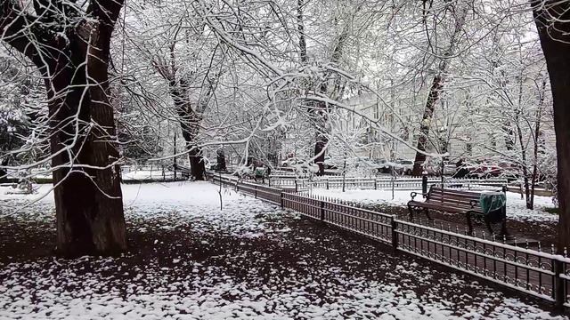 зима семенарский сквер Симферополь