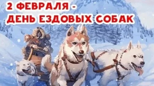 02.02.25 - Международный День ездовых собак