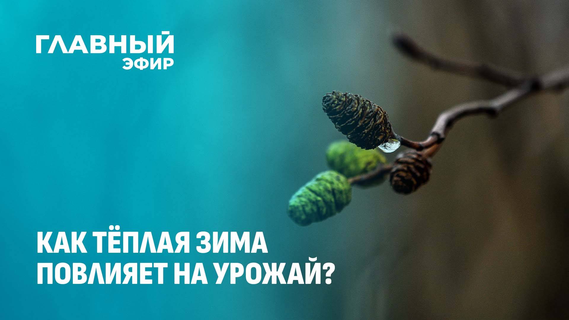 Аномально тёплая зима в Беларуси: что ждать от урожая в этом году? Главный эфир