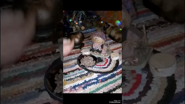 "Угощение Домового в День его рождения".