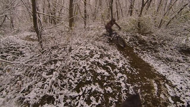 rolling hills with honzo the trail dog