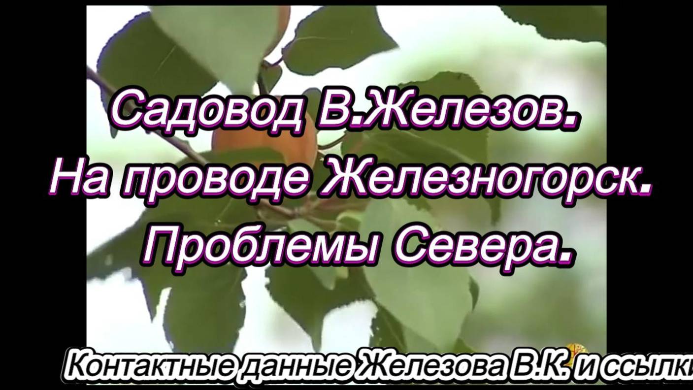 Садовод В.Железов. На проводе Железногорск. Проблемы Севера.