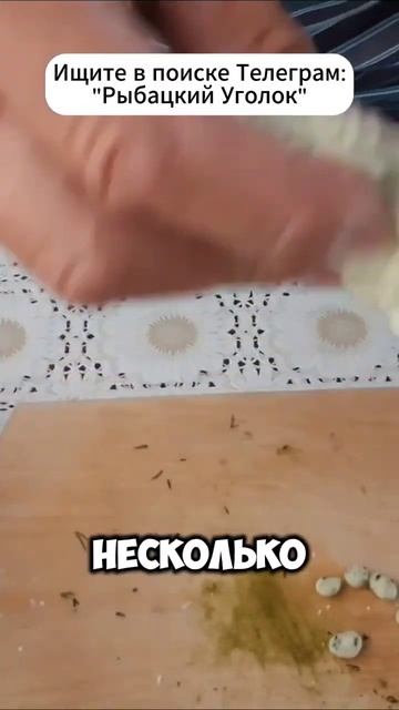ЛУЧШАЯ НАСАДКА В АВГУСТЕ! #рыбалка #карась
