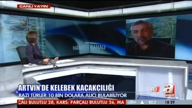 A HABER / KARADENİZ'DE KELEBEK KAÇAKÇILIĞI-CEMAL GÜLAS:"EKOLOJİK SUÇLAR ULUSLARARSI SUÇ SAYILMALI"