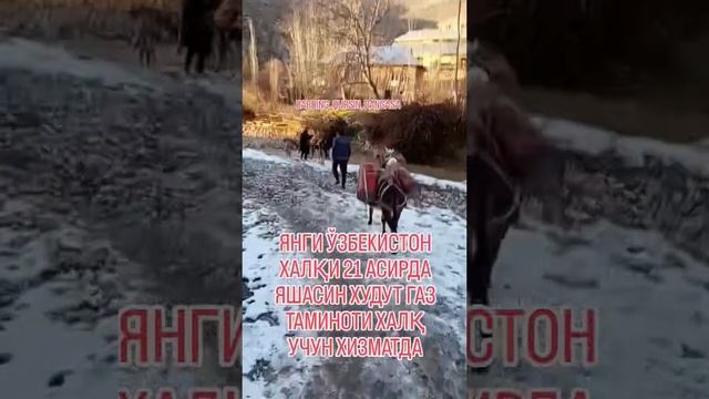 Газ