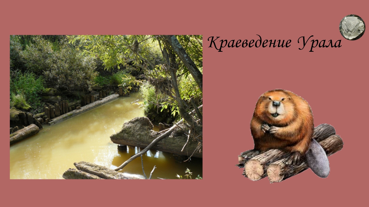 Северо-Екатерининский канал. Дополнение