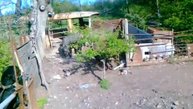 Обучение за работа на диво орасе2