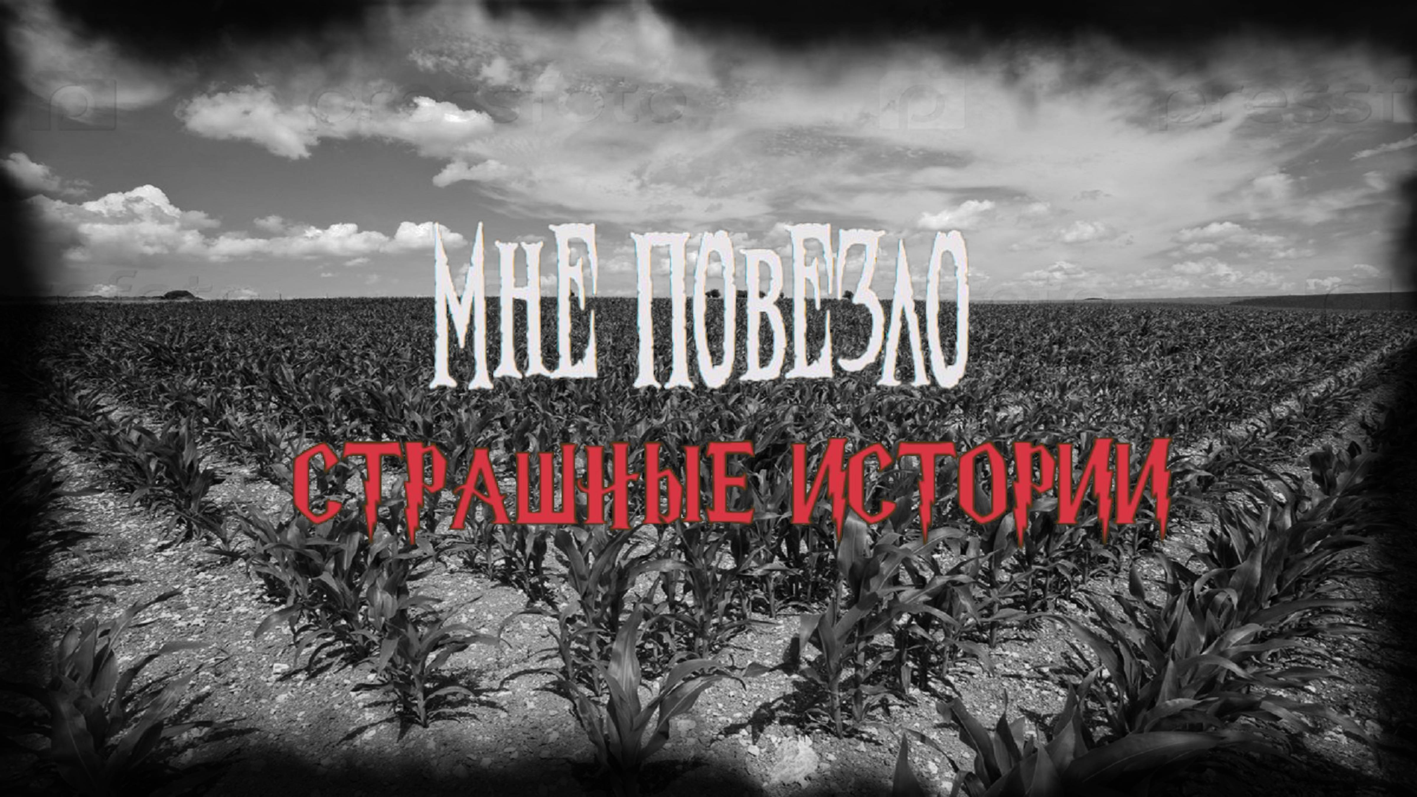 СТРАШНЫЕ ИСТОРИИ НА НОЧЬ | Мне повезло | СТРАШИЛКИ НА НОЧЬ