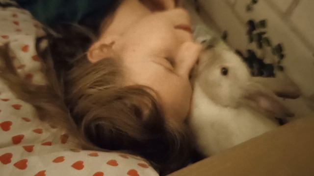 Маленькие кролики разбудили Аню